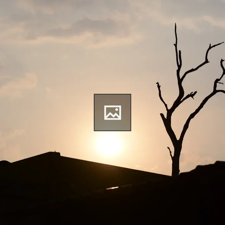 Silhouette of leafless tree at sunset