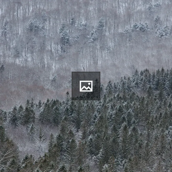 Snowy Catskills Mountainside
