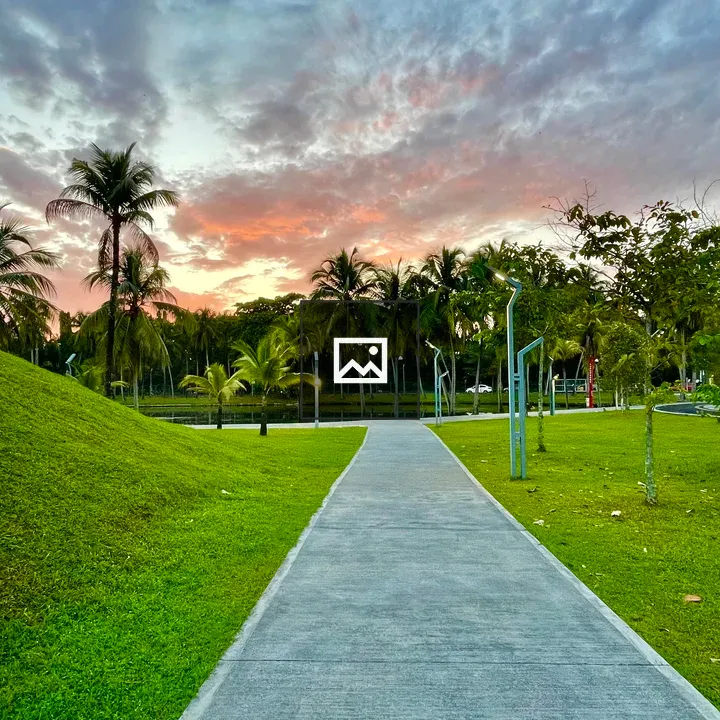 An early morning lake park scene