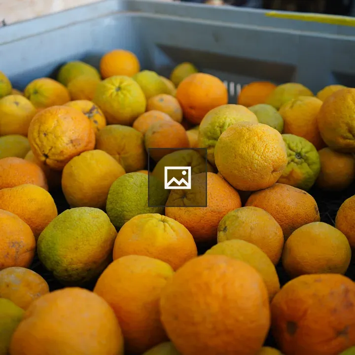 Crate of oranges