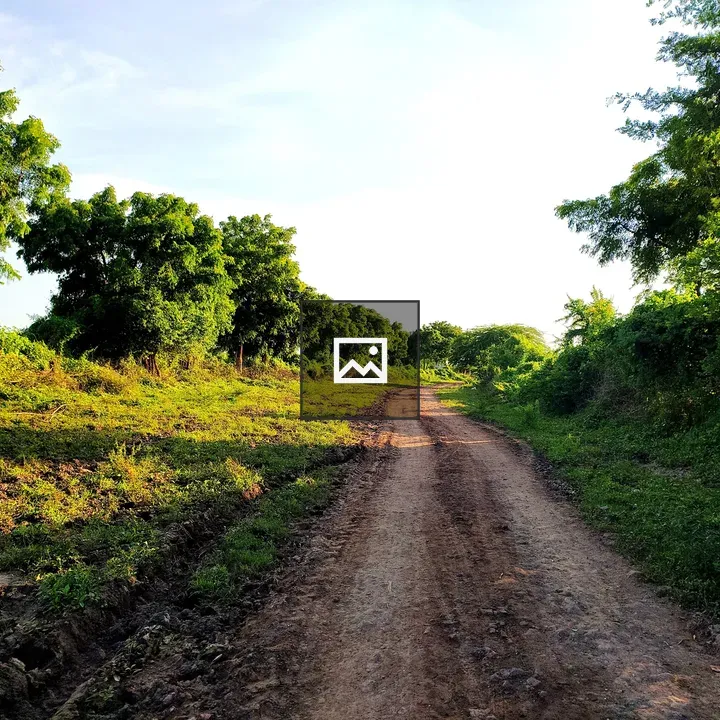 Dirt Path Through Green Landscape