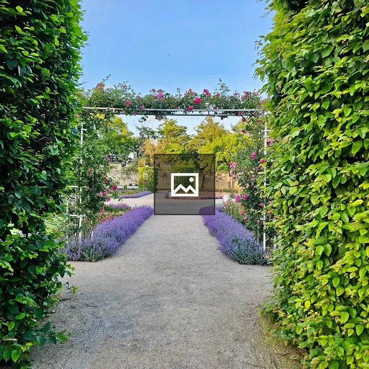 Pathway through garden with arch and roses