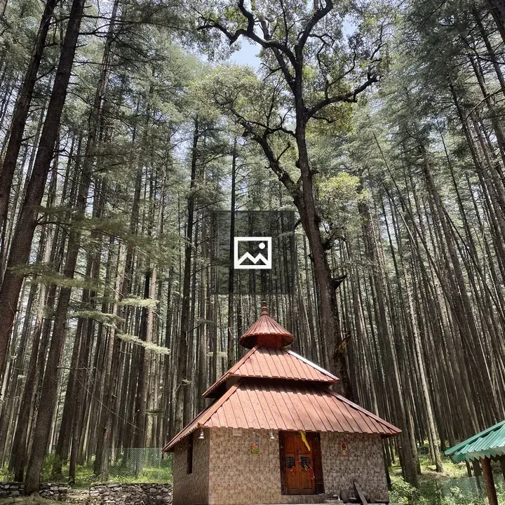 Forest and Temple Structure