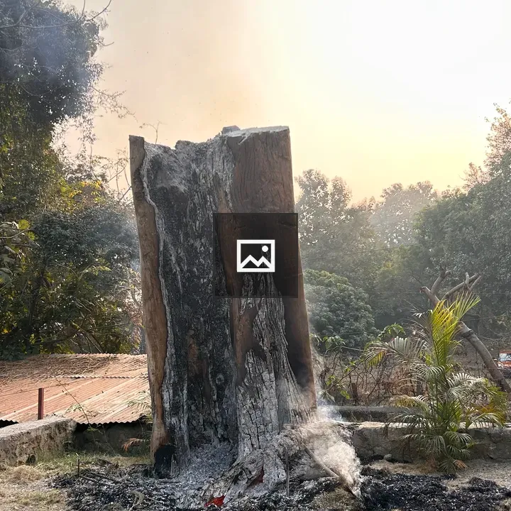 Burned tree stump centerpiece