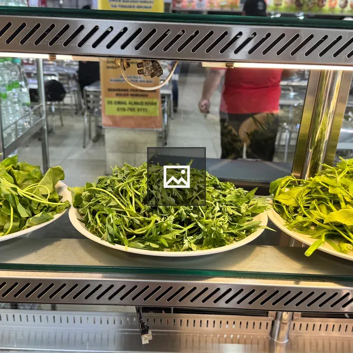 Green leafy vegetables on plates