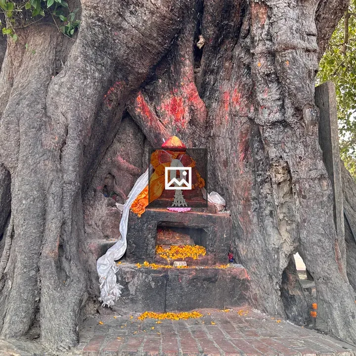 Altar in hollow tree trunk