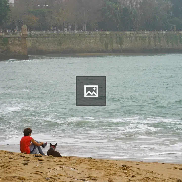 Person in Red Shirt and Dog by Sea