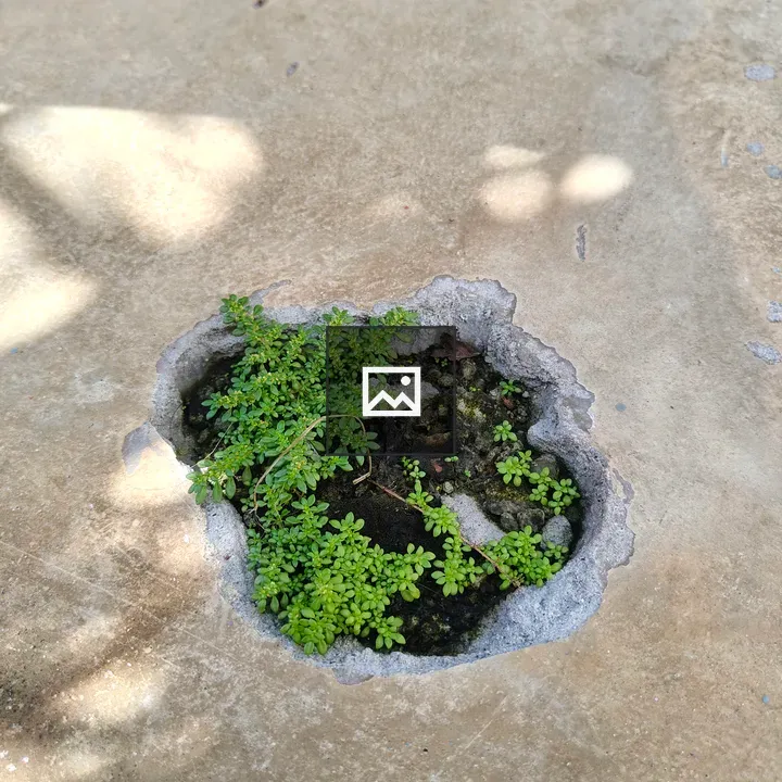 Close-up of hole with green plants