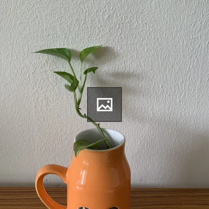 Money plant in orange mug