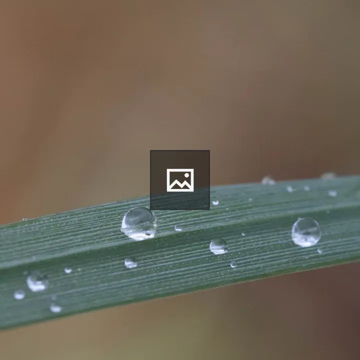 Close-up of water droplets on grass
