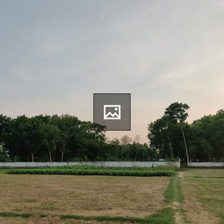 Green field with path and trees
