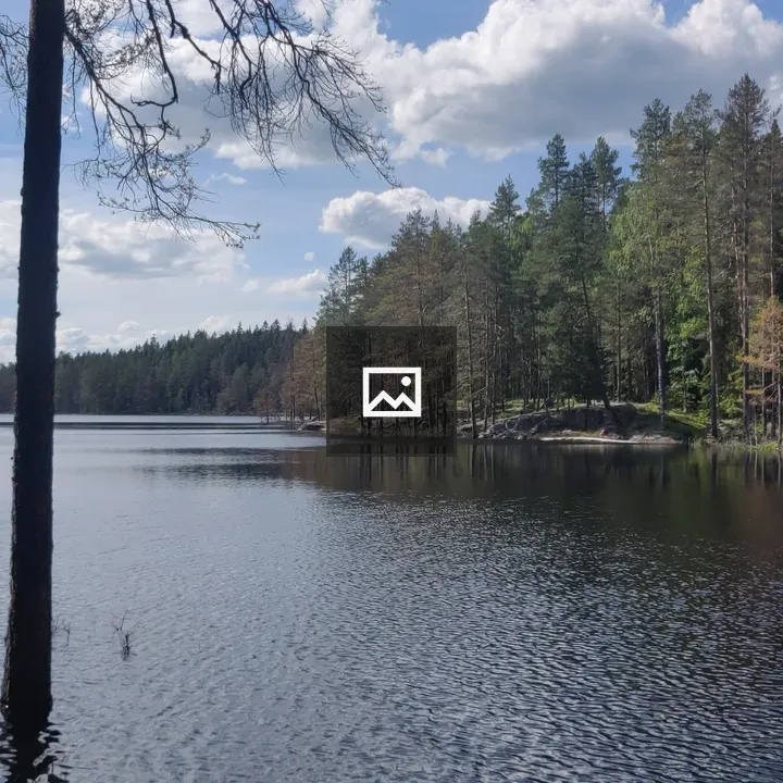 Overflown lake with forest backdrop
