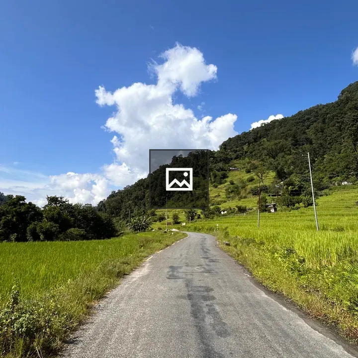 Winding Road into Green Hills