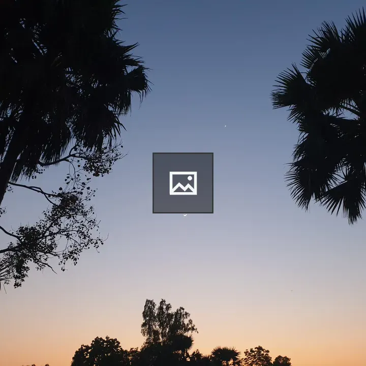 Night sky over trees