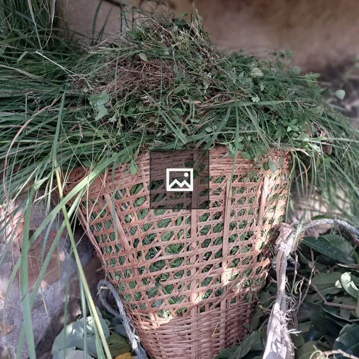 Woven Doko Basket with Grass