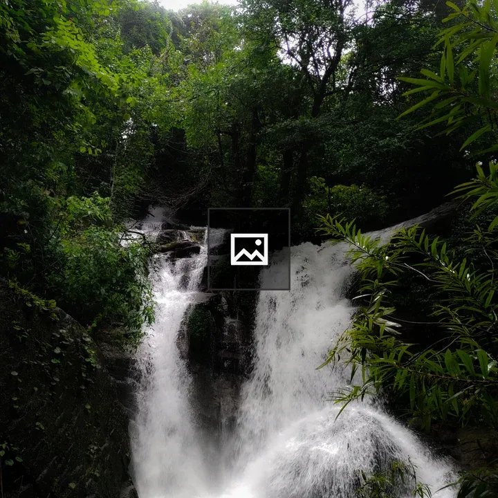 Waterfall in Green Forest