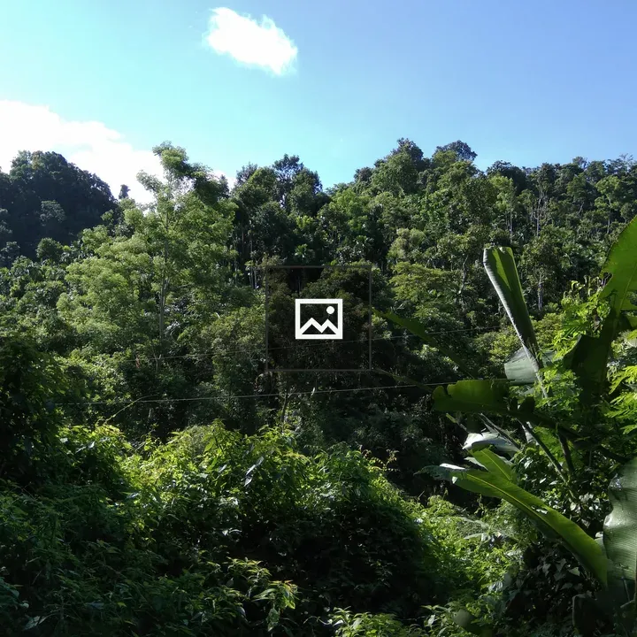 Natural view at Sylhet