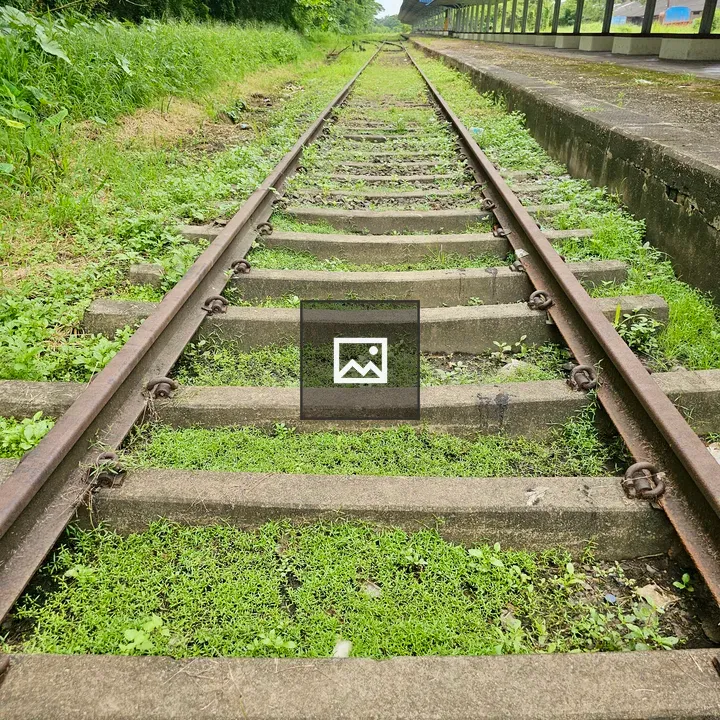 Overgrown railway tracks at Cochin Harbour Terminus