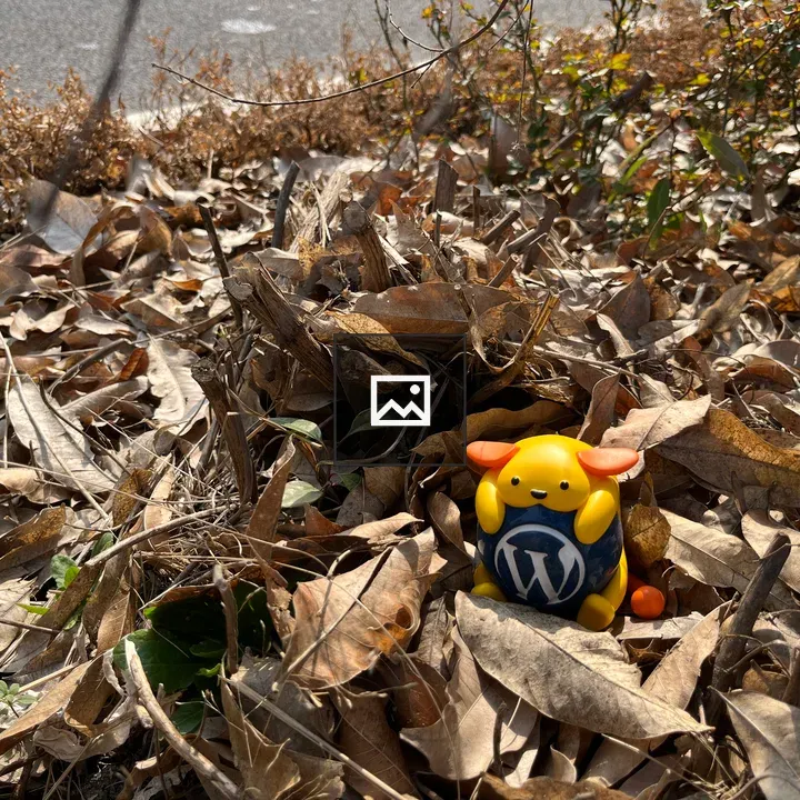 Heap of Dry Leaves
