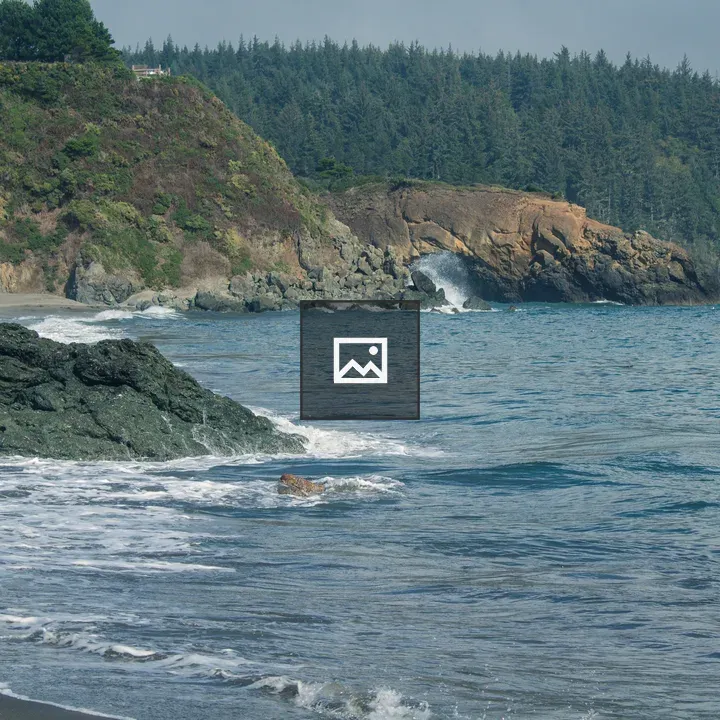 Oregon Coast Scene
