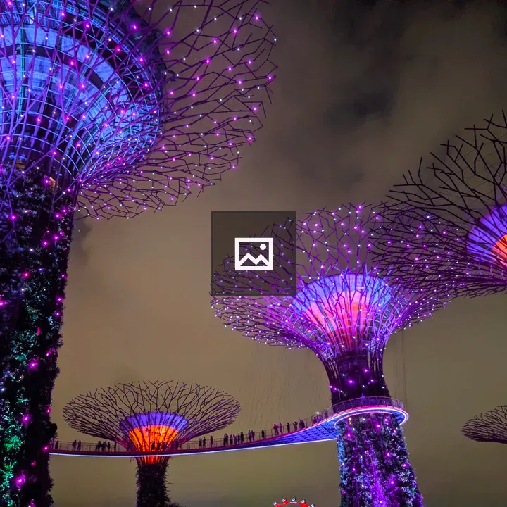 Supertrees Night Illumination