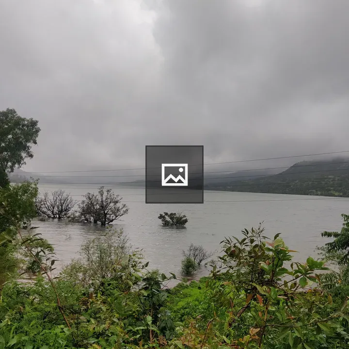 Lake view with shoreline vegetation