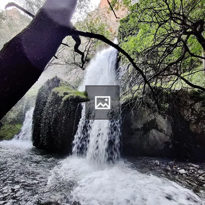 Waterfall in Nature