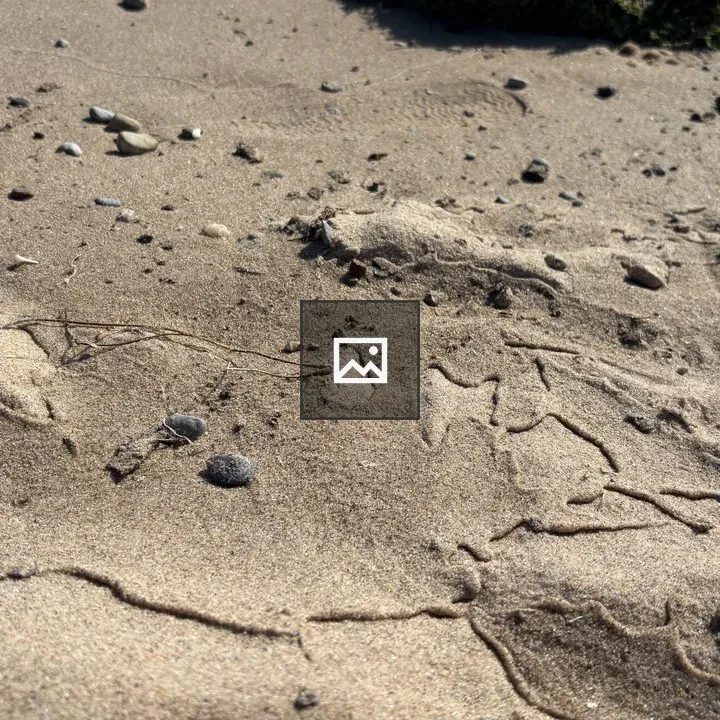 Beach Sand Marks by Water Motion