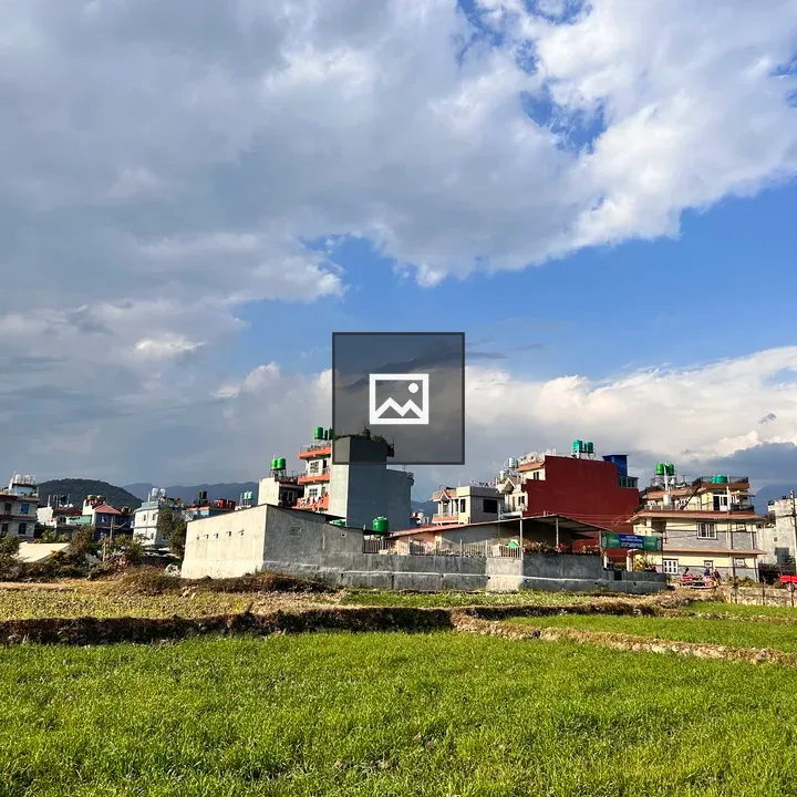 Green Field Among Buildings