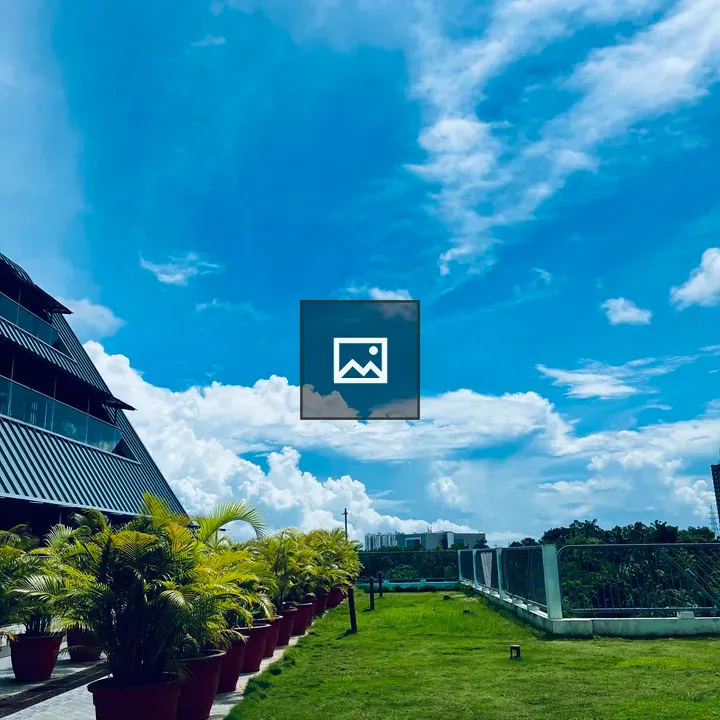 Rooftop lawn with plants