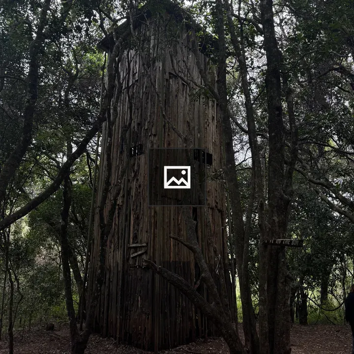 Tall wooden tower in forest