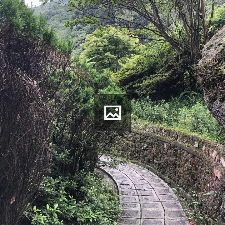 Rock garden foot trail in Darjeeling