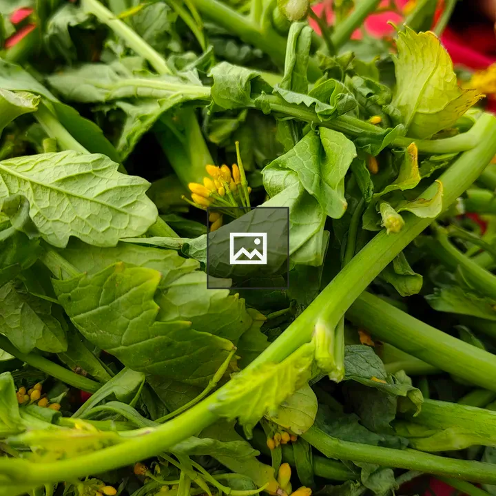 Mustard greens for Sarson Ka Saag