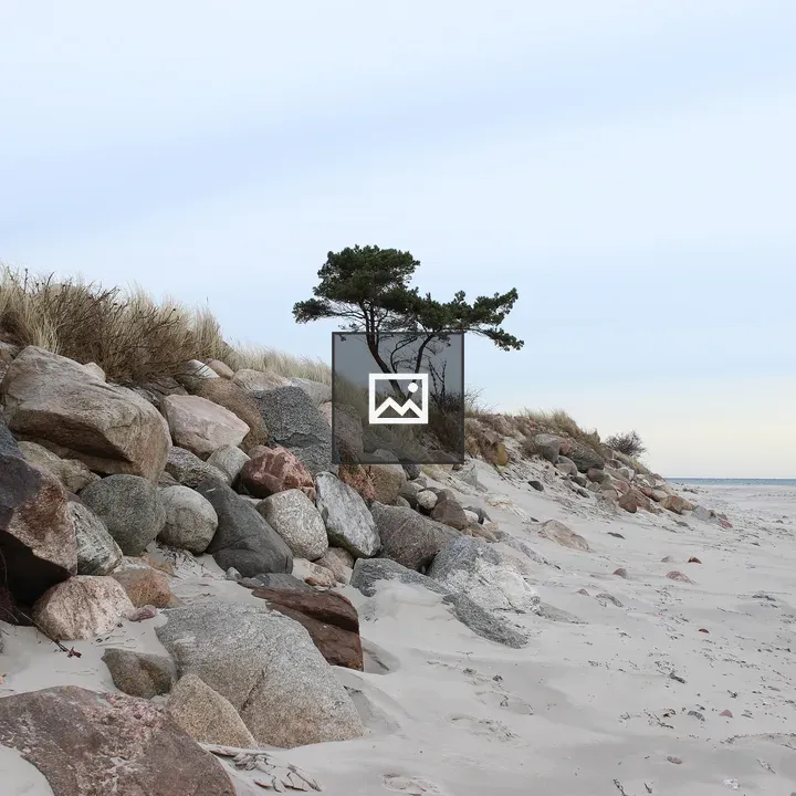 Single tree on the coast