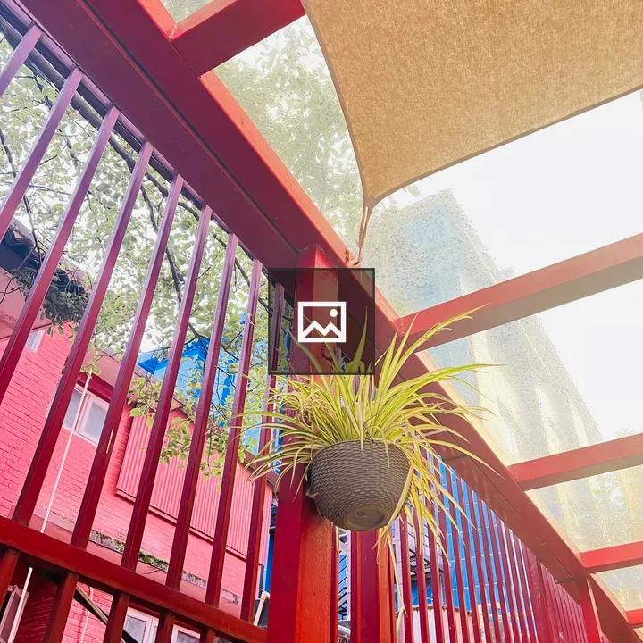 Hanging Spider Plant on Rail