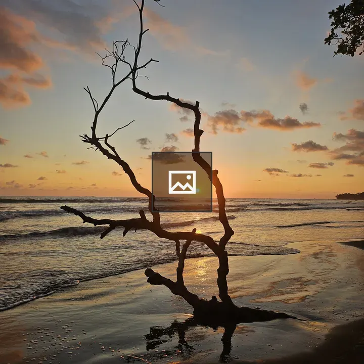 Sunset with twisted branch on beach