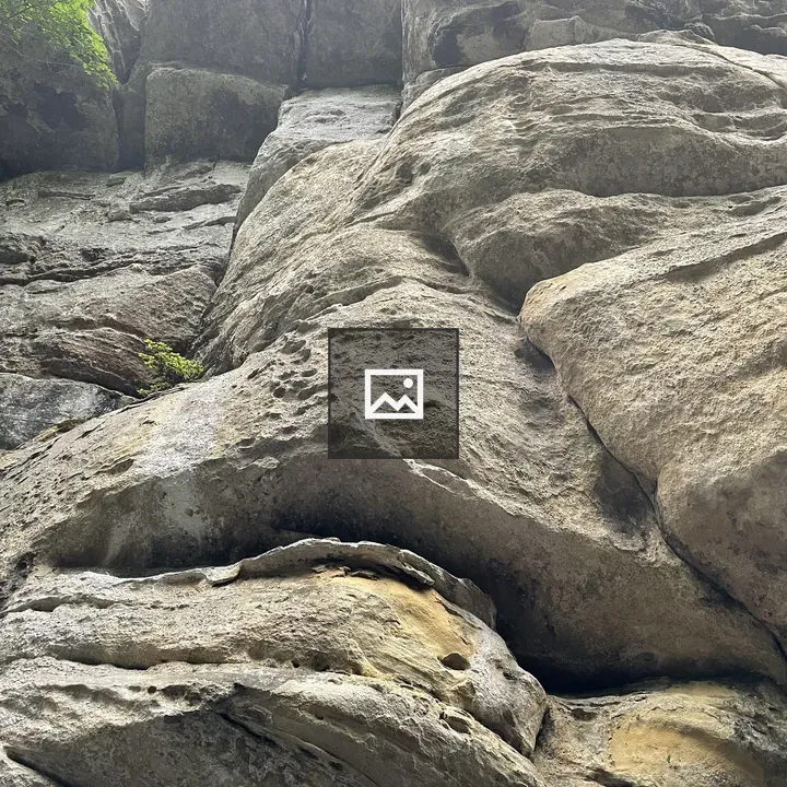Rocks on a forest cliff