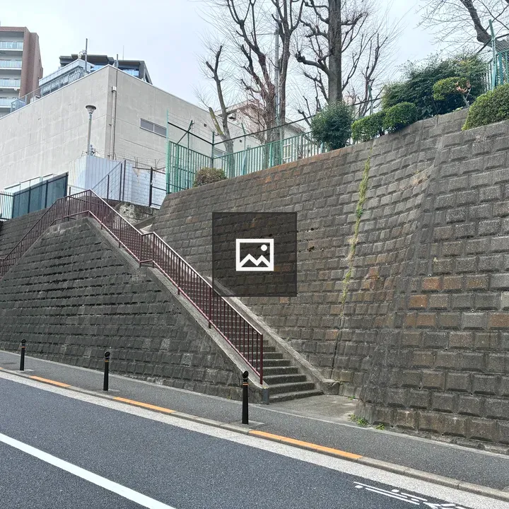 Concrete staircase with grassy slope