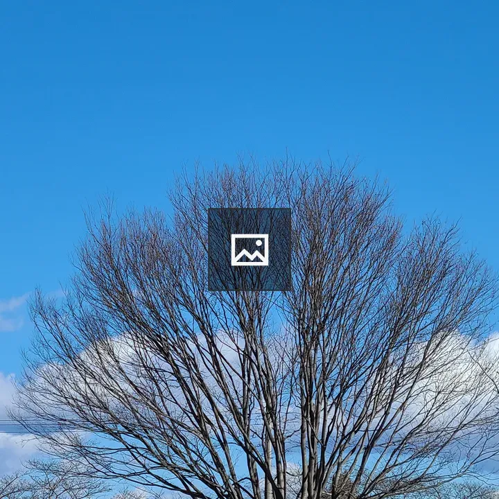 Tree and Sky