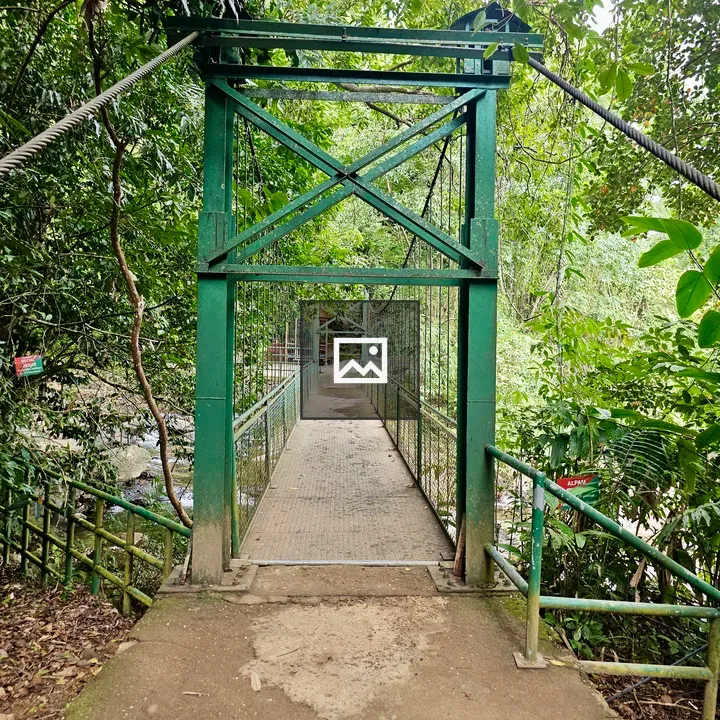 Green suspension bridge near Thusharagiri Falls