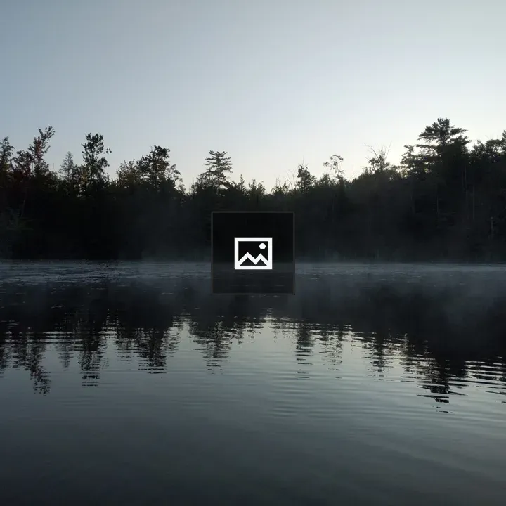 Foggy pond in the morning