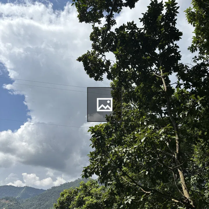 ChatGPT said: A peaceful landscape