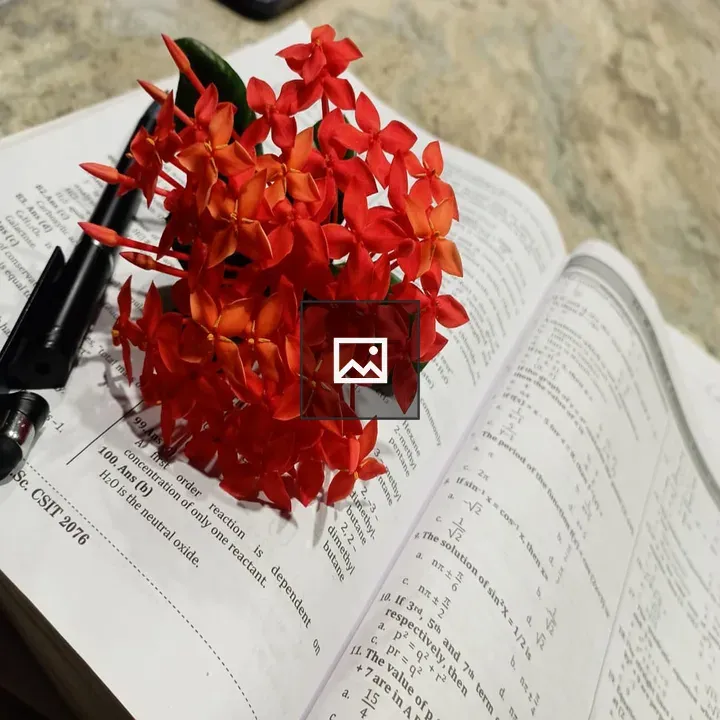 Close-up of red flowers on book