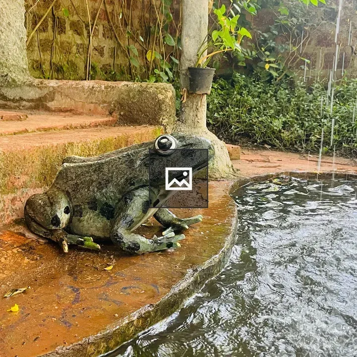 Frog statue by pond