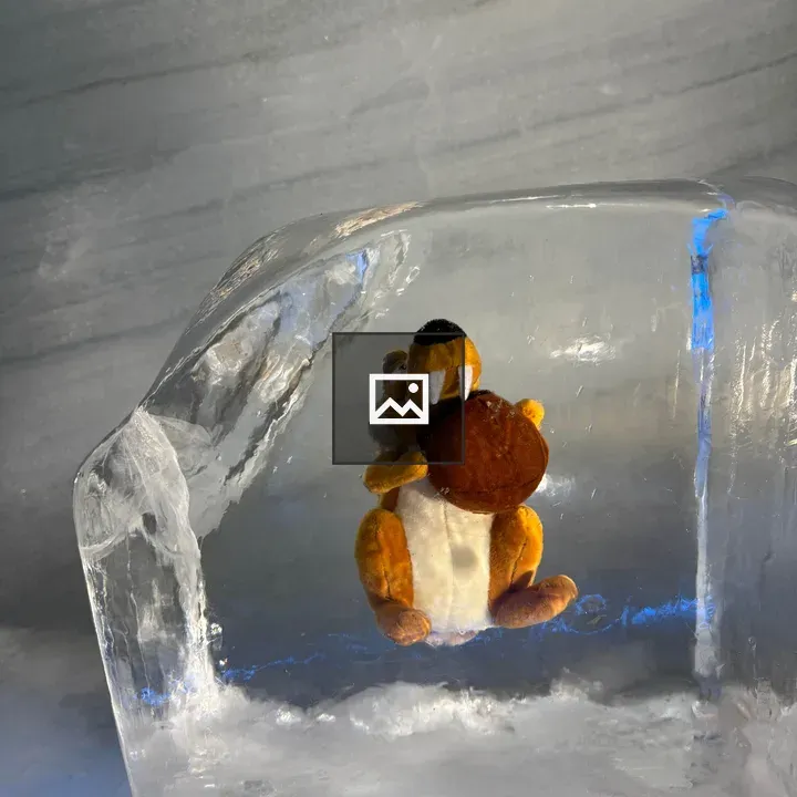 Plush toy inside ice block