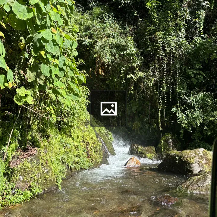 Serene Stream in Green