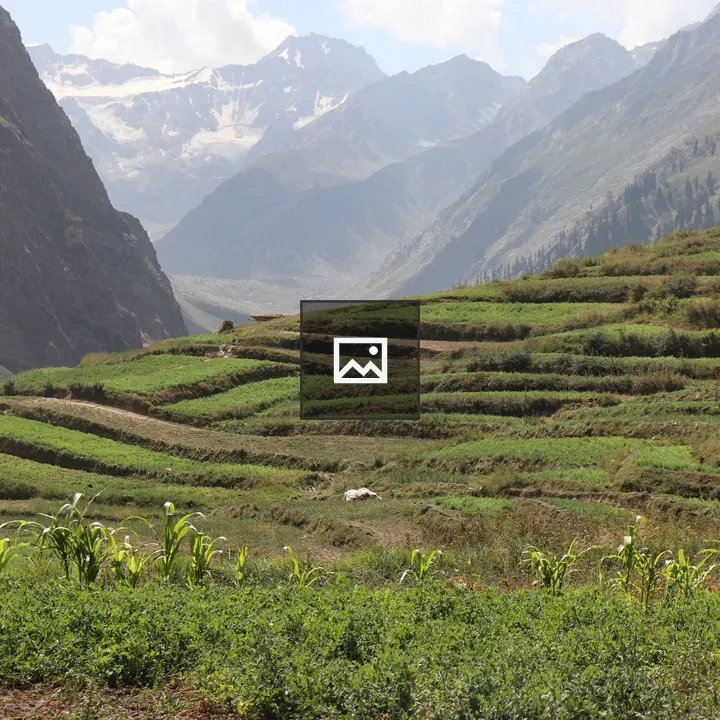 Lush green meadows in Naran Lalazar