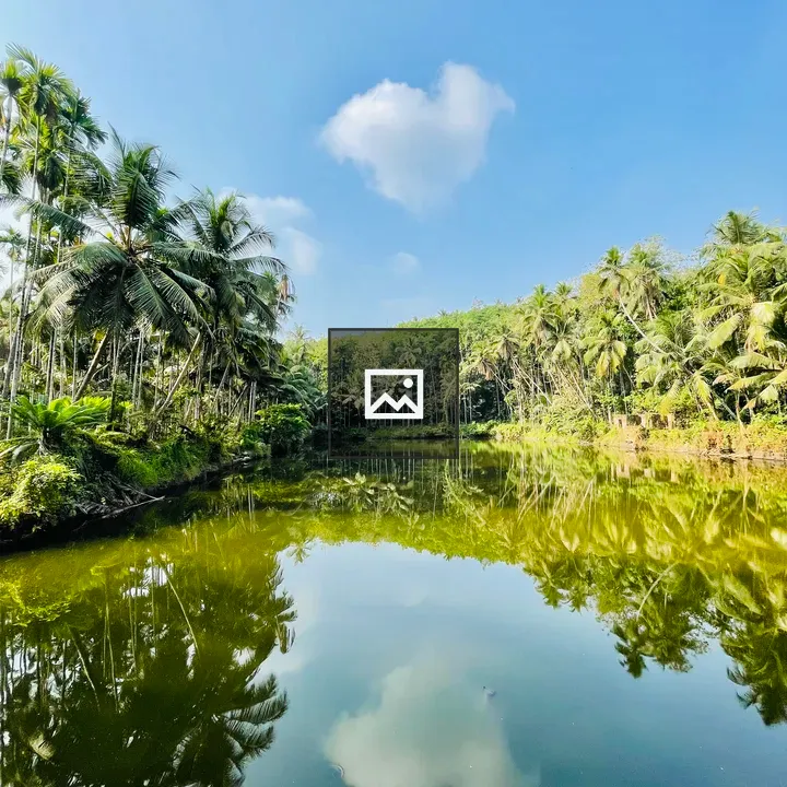 Thrikkalayoor Temple Pond