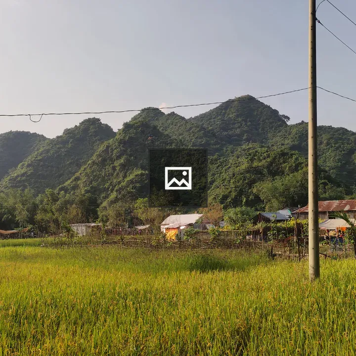 Netrokona Nature Scene