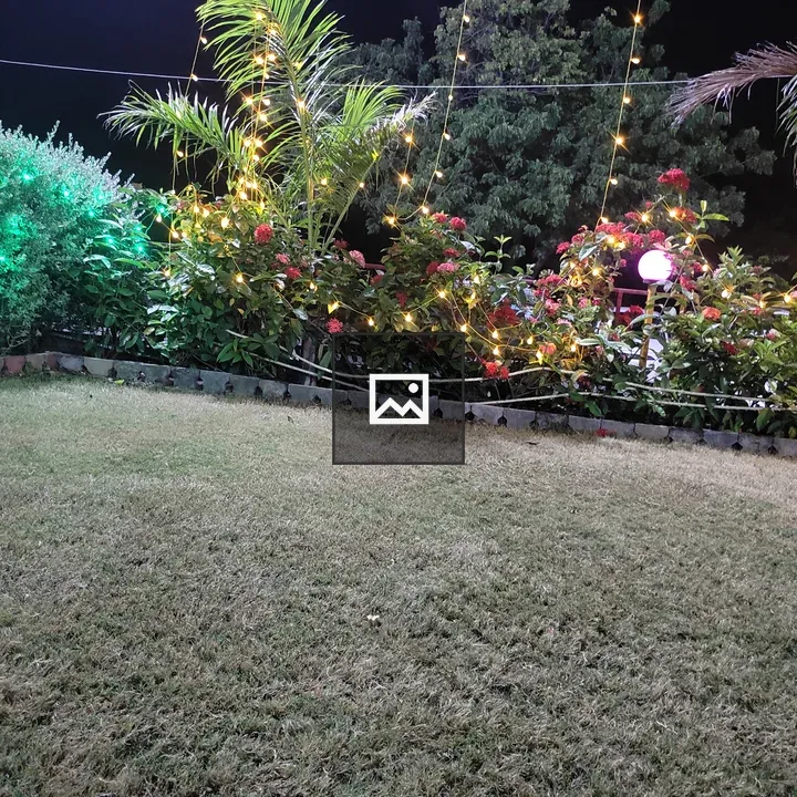 Night Garden with Soft Lights